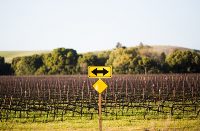 Being a Morning or Night Person May Affect Your Decision Making